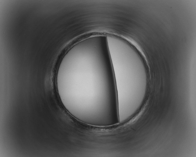 X0000089880783200706281049