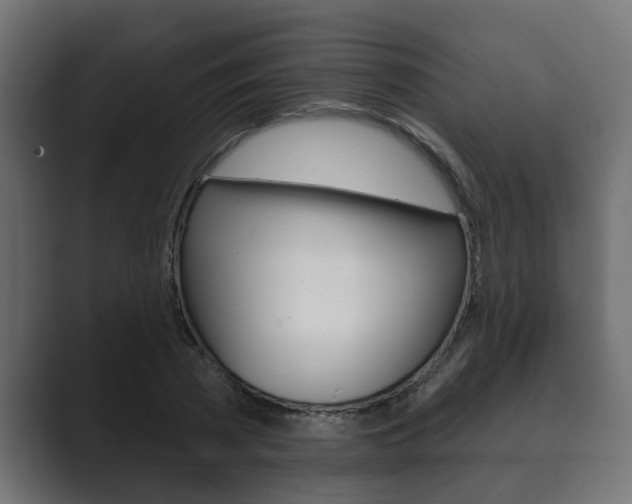 X0000089880785200706281049