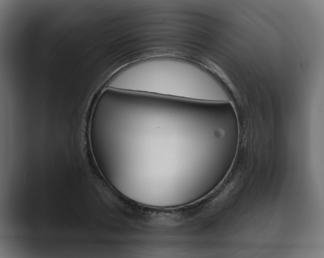 X0000089880786200706281049