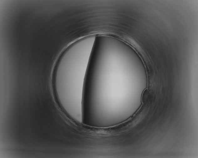X0000089880787200706281049