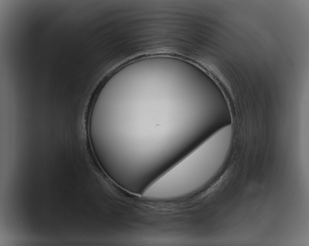 X0000089880789200706281049