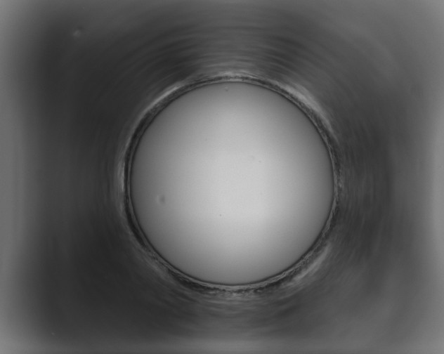 X0000089880790200706281049