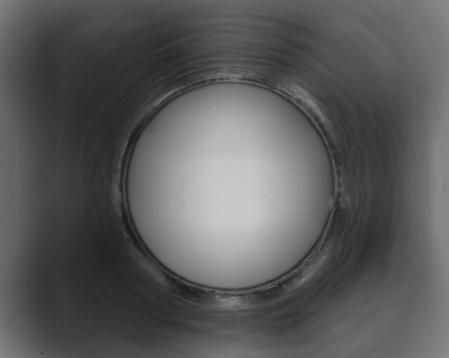 X0000089880794200706281049