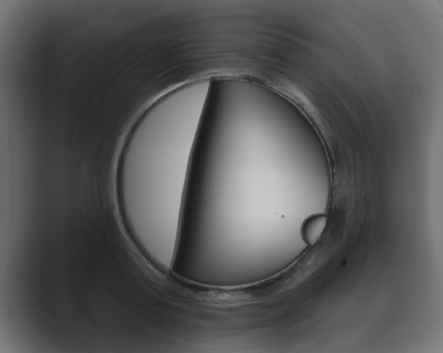X0000089880795200706281049