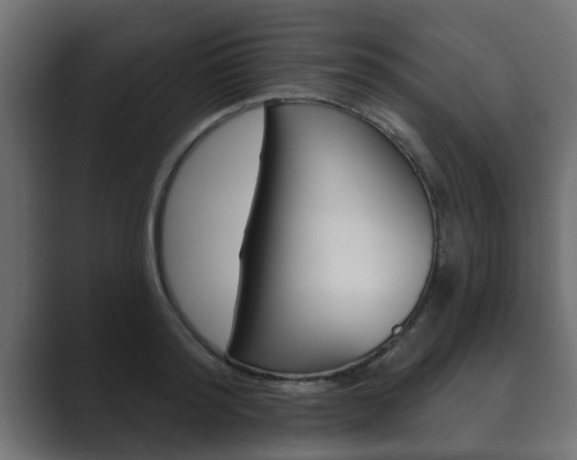 X0000089880796200706281049