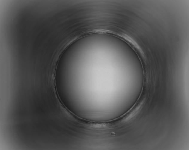 X0000089880801200706281049