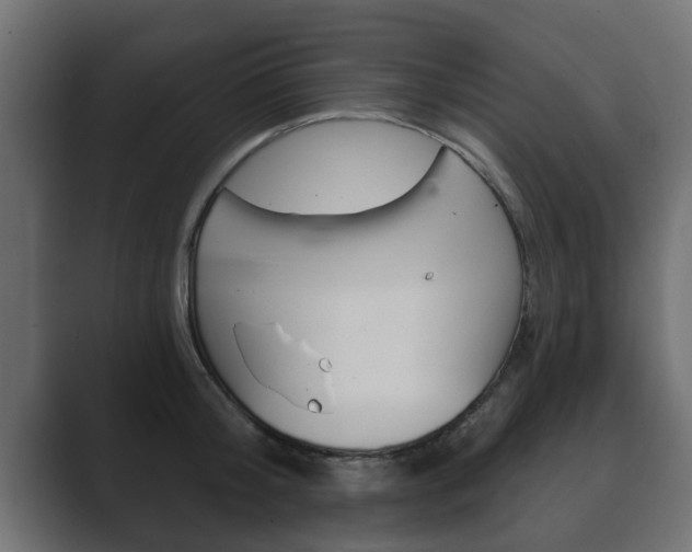 X0000089880804200706281049