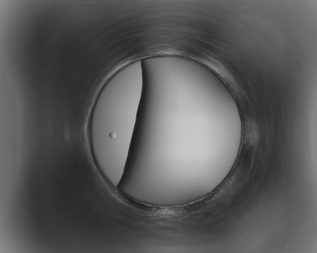 X0000089880806200706281049