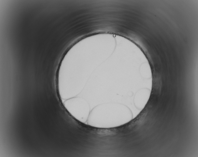 X0000089880807200706281049