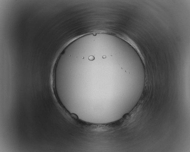X0000089880811200706281049