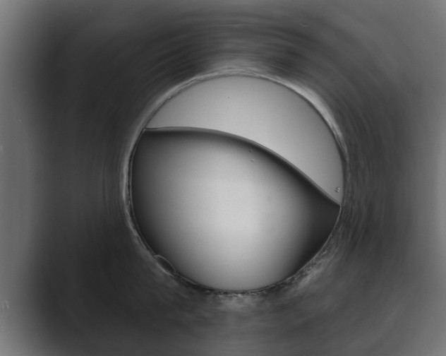 X0000089880815200706281049
