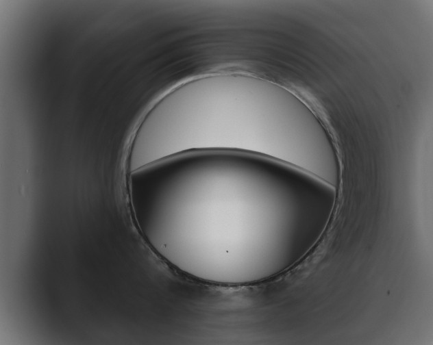 X0000089880816200706281049