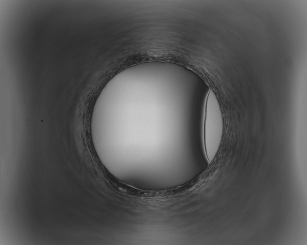 X0000089880817200706281048