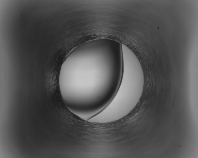 X0000089880818200706281048