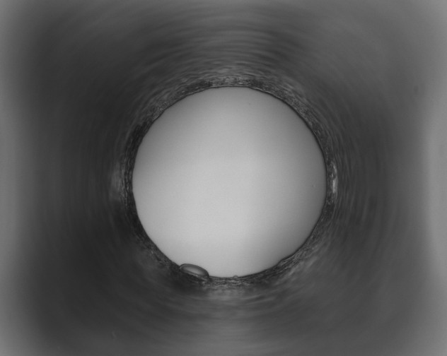 X0000089880819200706281048