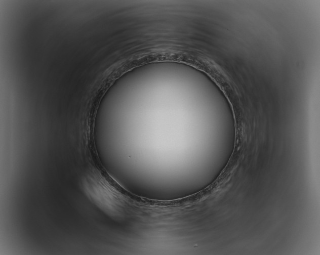 X0000089880821200706281048