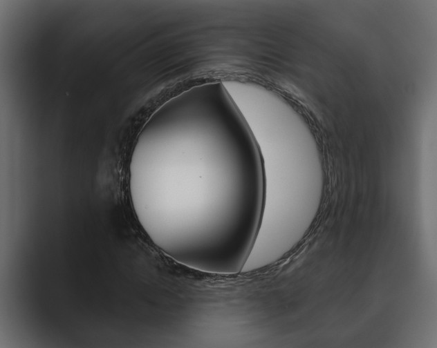 X0000089880822200706281048