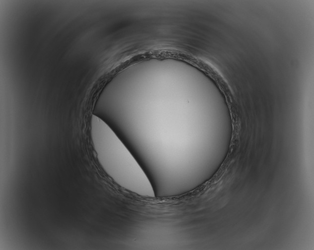 X0000089880823200706281048