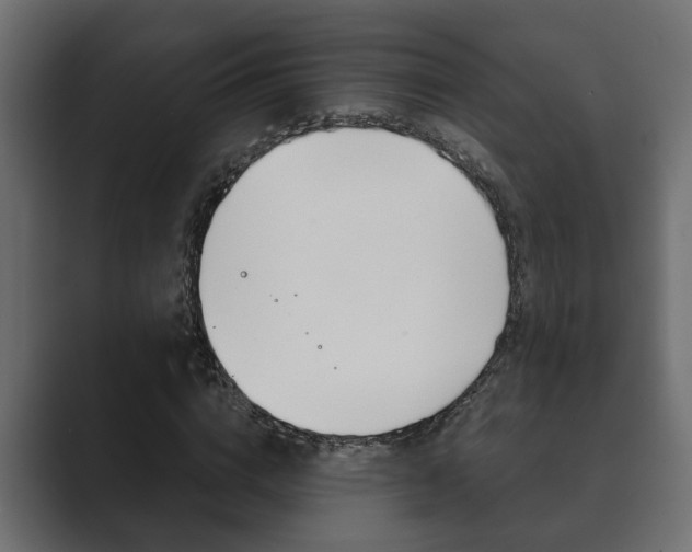 X0000089880824200706281048