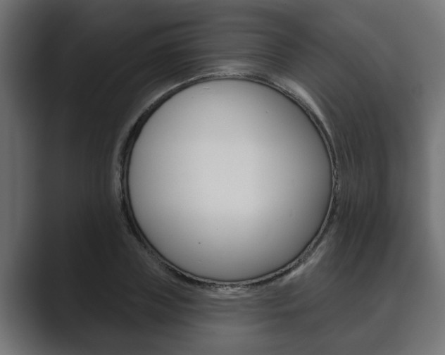 X0000089880835200706281049