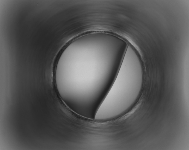 X0000089880837200706281049