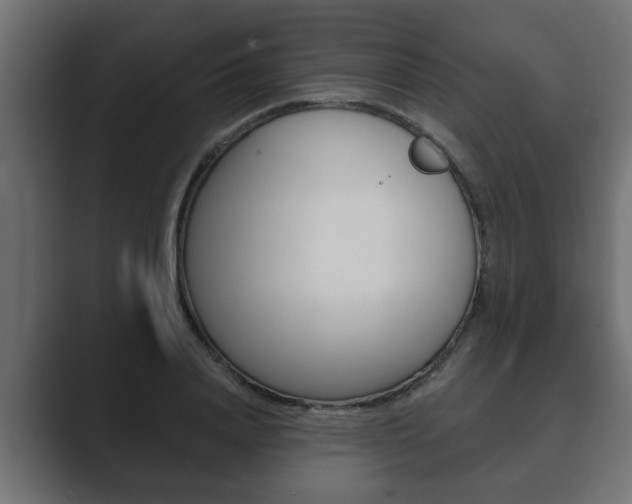 X0000089880840200706281049