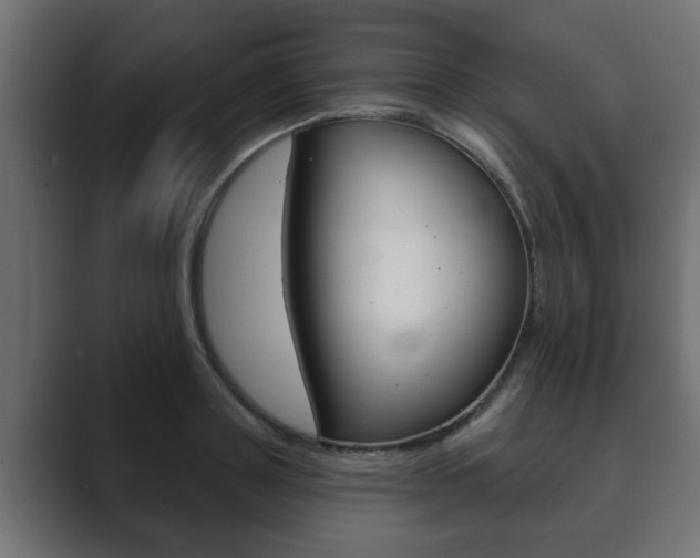 X0000089880843200706281049