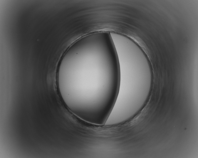 X0000089880850200706281049