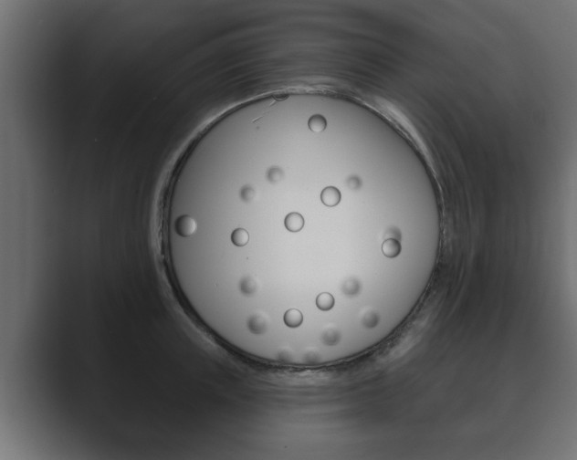 X0000089880851200706281049