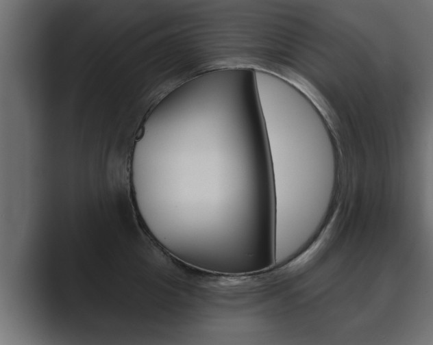 X0000089880857200706281049