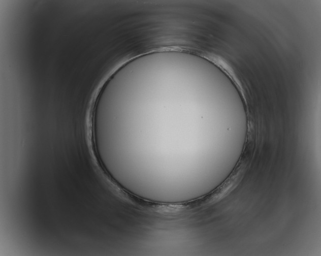 X0000089880859200706281049