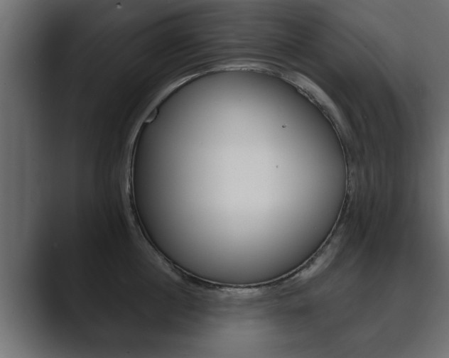 X0000089880860200706281049