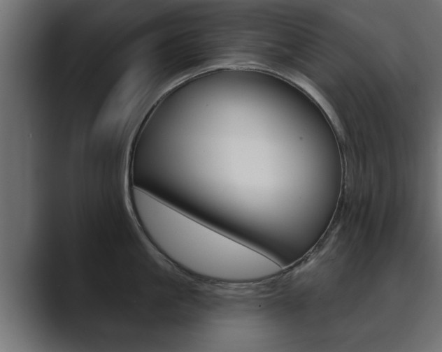 X0000089880861200706281049