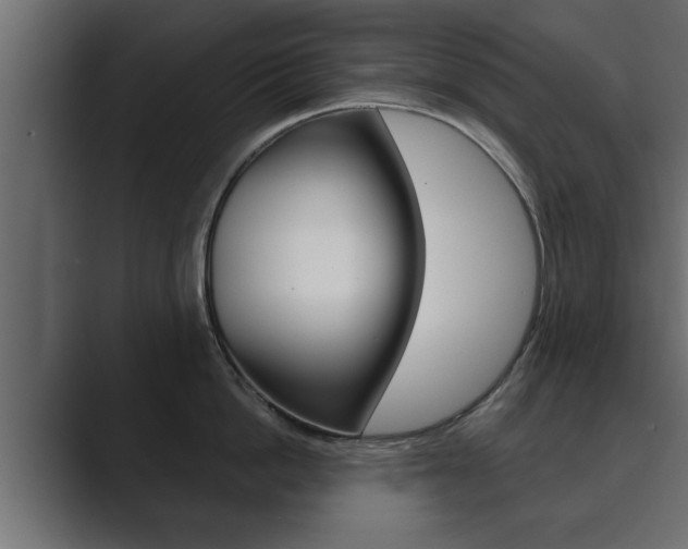 X0000089880862200706281049
