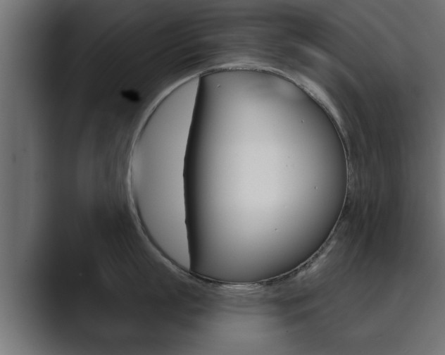 X0000089880863200706281049