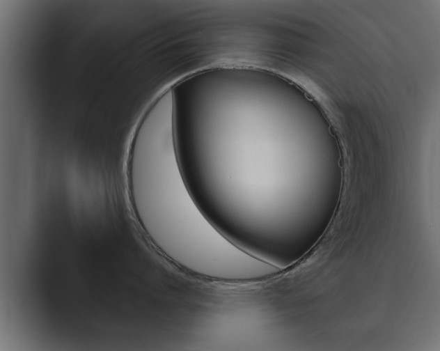 X0000089880864200706281049