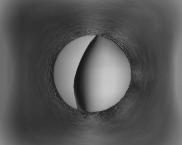 X0000089880865200706281048