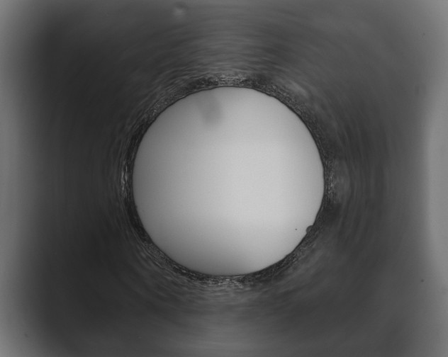 X0000089880866200706281048