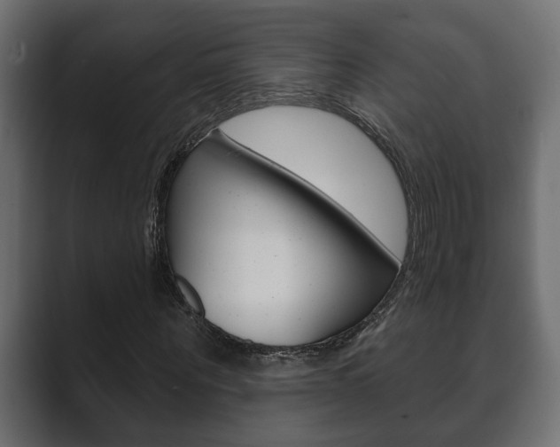X0000089880867200706281048