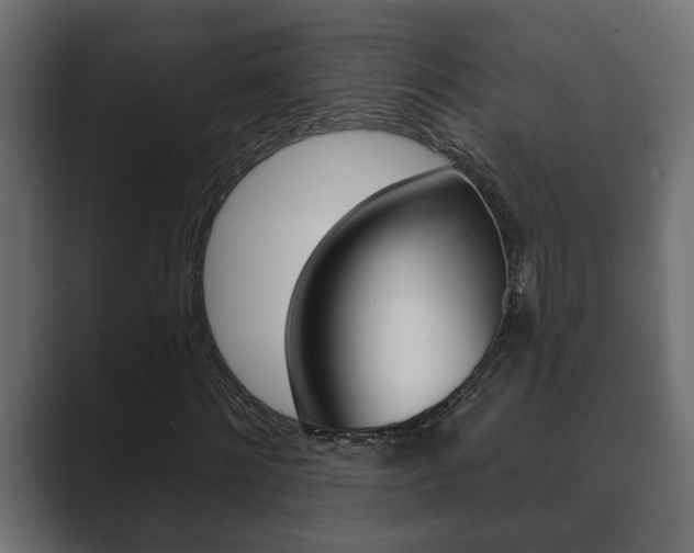 X0000089880868200706281048