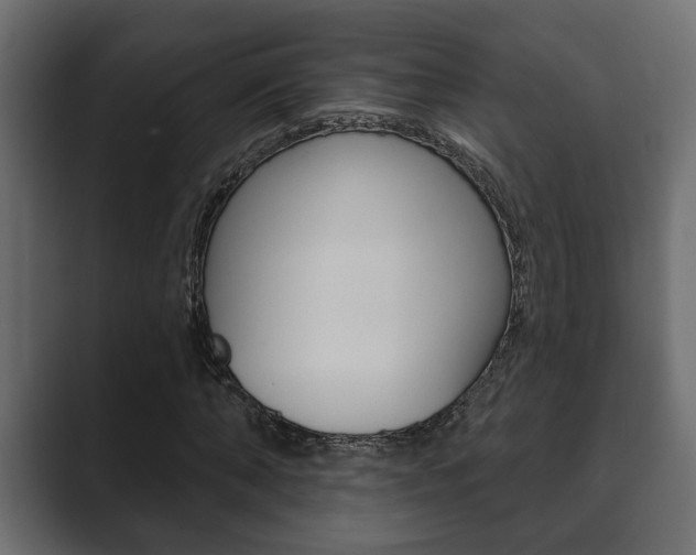 X0000089880870200706281048