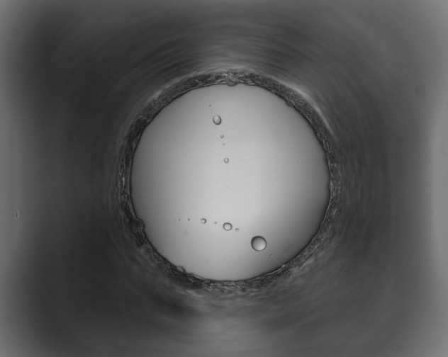 X0000089880871200706281048