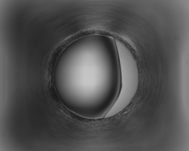 X0000089880872200706281048