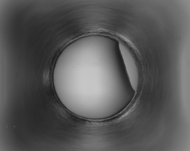X0000089880873200706281048