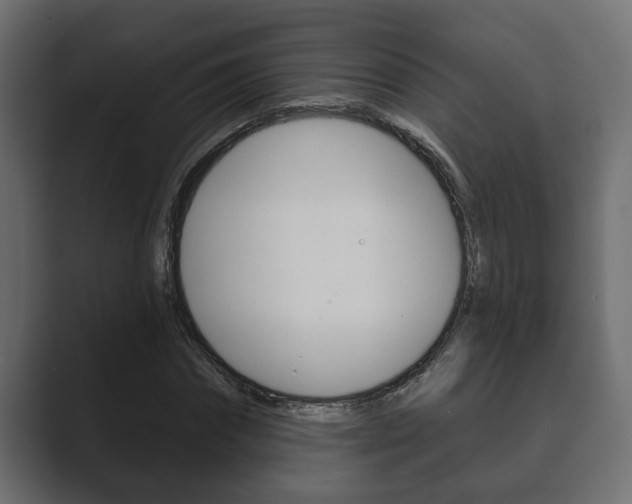 X0000089880874200706281048