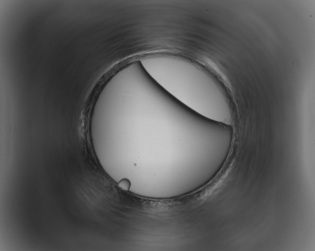 X0000089880875200706281048