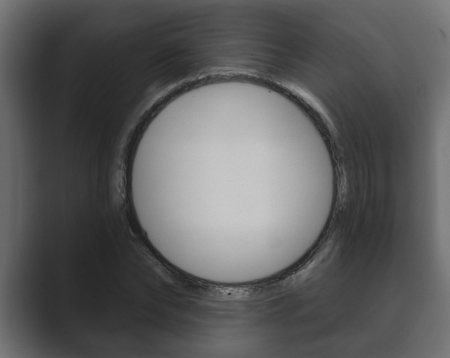 X0000089880878200706281048
