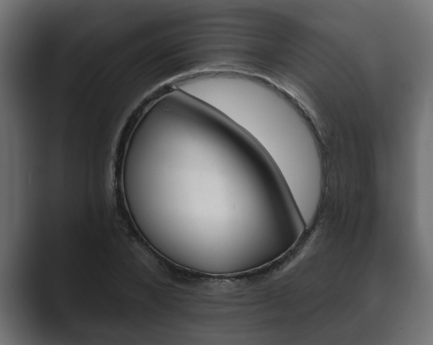 X0000089880880200706281048