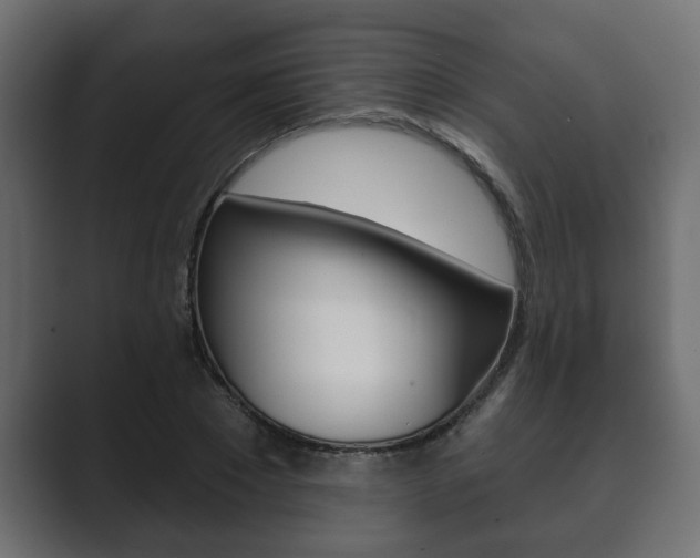 X0000089880881200706281048
