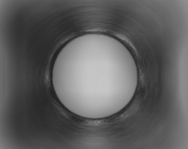 X0000089880882200706281048